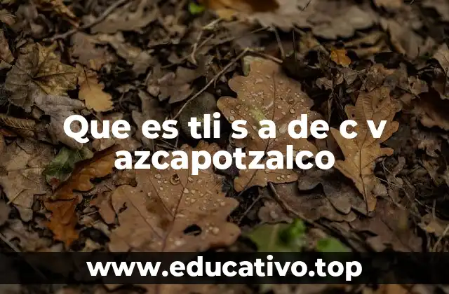 Que es tli s a de c v azcapotzalco