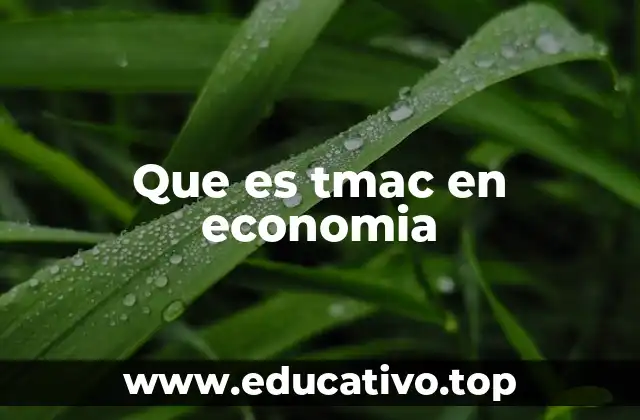 Que es tmac en economia