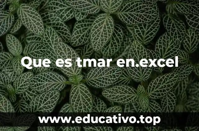 Que es tmar en.excel