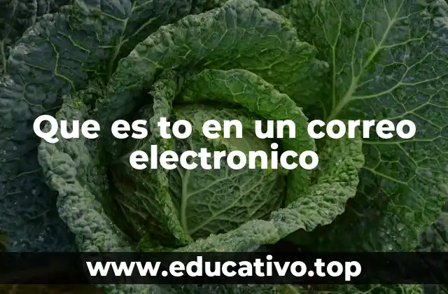 Que es to en un correo electronico