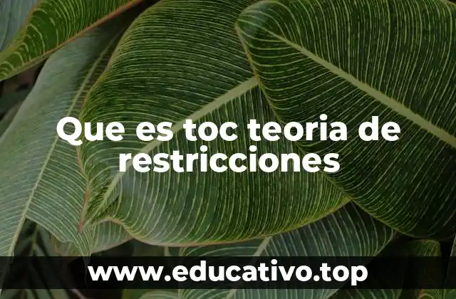 Que es toc teoria de restricciones