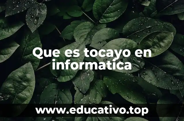 Que es tocayo en informatica