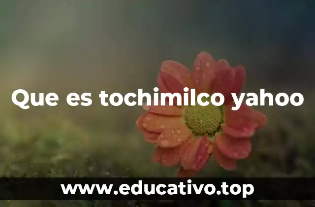 Que es tochimilco yahoo