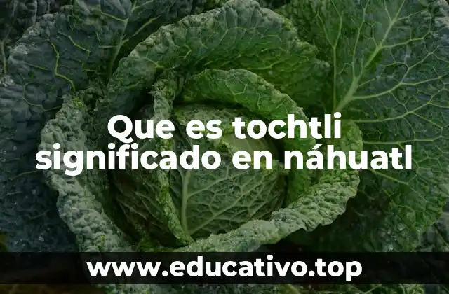Que es tochtli significado en náhuatl