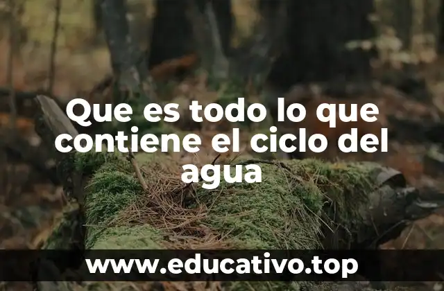 Que es todo lo que contiene el ciclo del agua