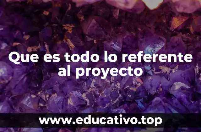 Que es todo lo referente al proyecto