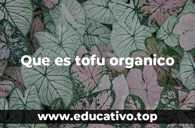 Que es tofu organico