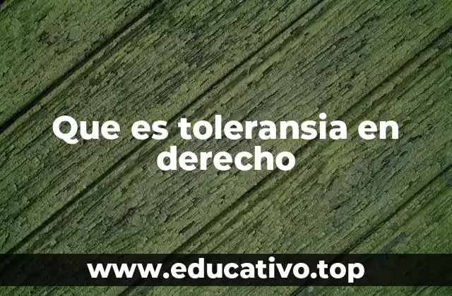 Que es toleransia en derecho