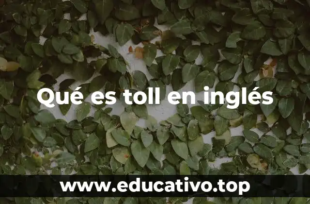 Qué es toll en inglés