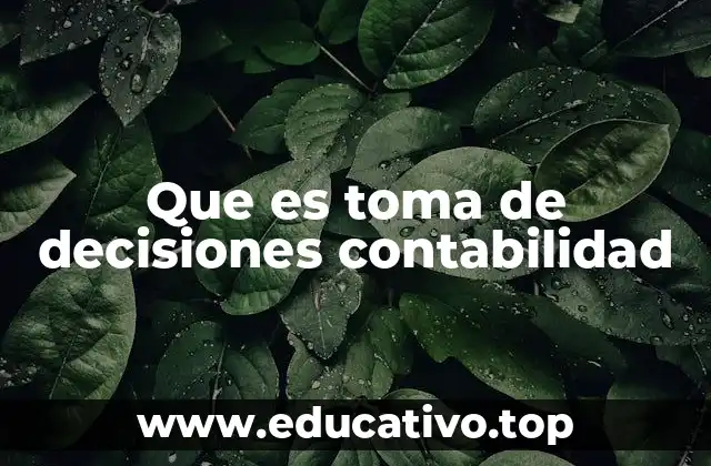 Que es toma de decisiones contabilidad