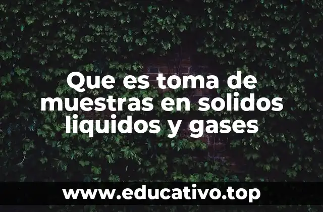 Que es toma de muestras en solidos liquidos y gases