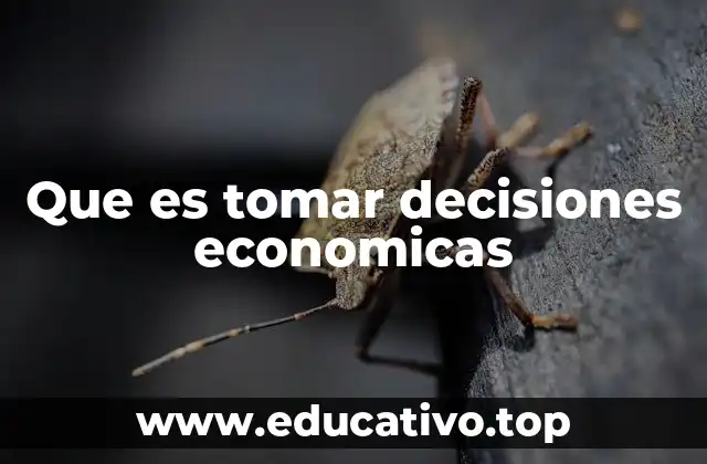 Que es tomar decisiones economicas