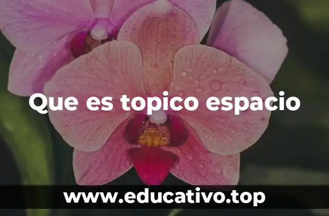 Que es topico espacio