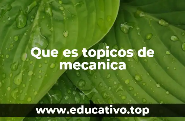 Que es topicos de mecanica