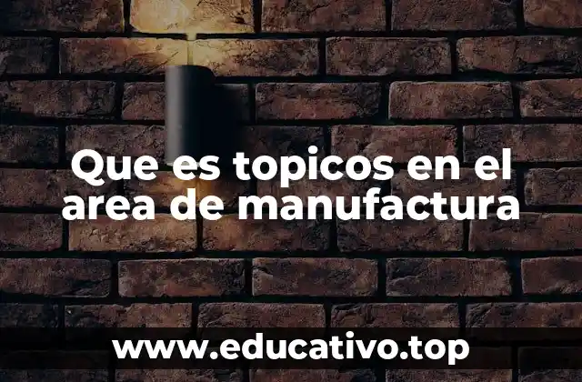 Que es topicos en el area de manufactura