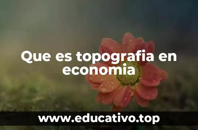 Cómo el relieve terrestre afecta la actividad económica