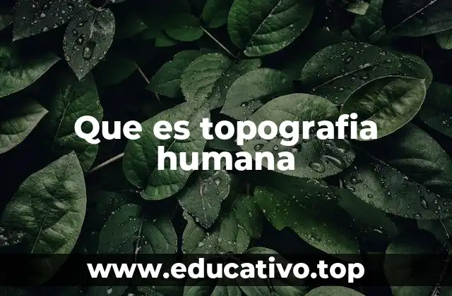 Que es topografia humana