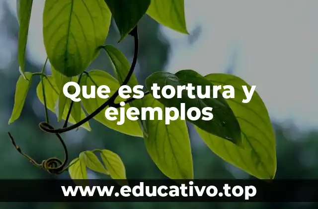 Que es tortura y ejemplos