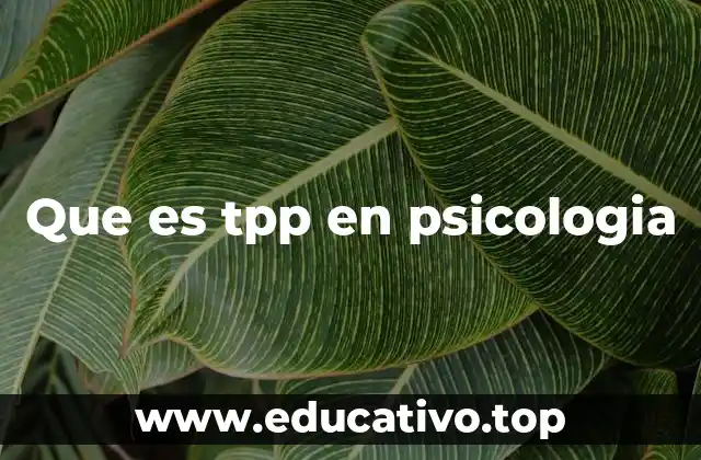 Que es tpp en psicologia