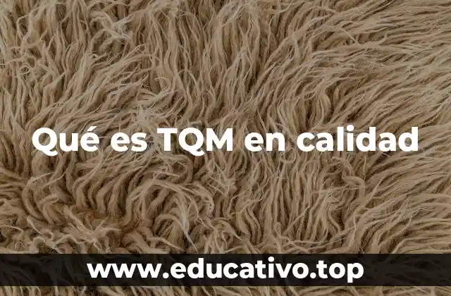 Qué es TQM en calidad