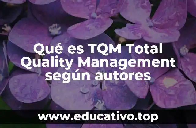 Qué es TQM Total Quality Management según autores