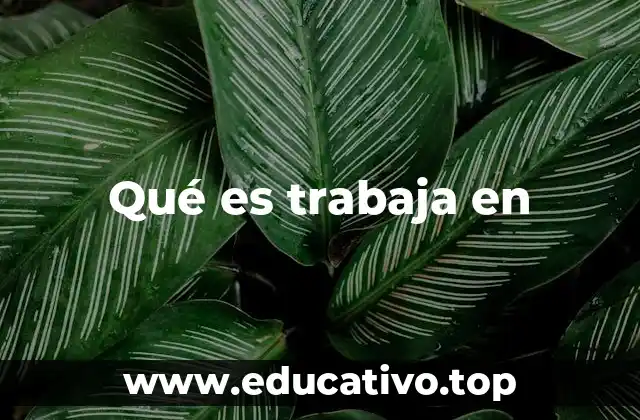 Qué es trabaja en