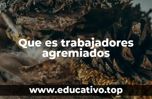 Que es trabajadores agremiados