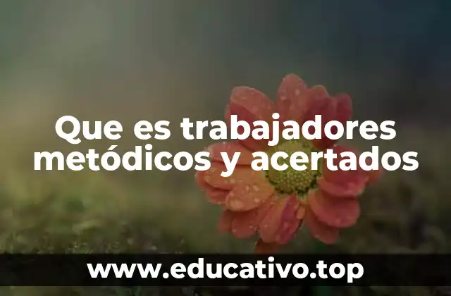 Que es trabajadores metódicos y acertados