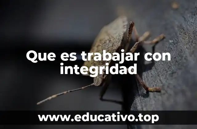 Que es trabajar con integridad
