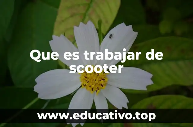 Que es trabajar de scooter