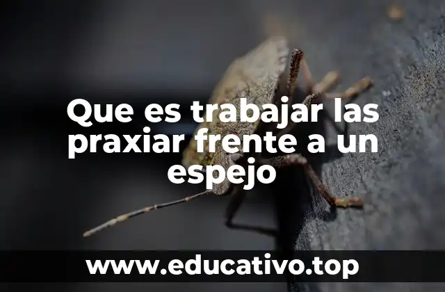 Que es trabajar las praxiar frente a un espejo