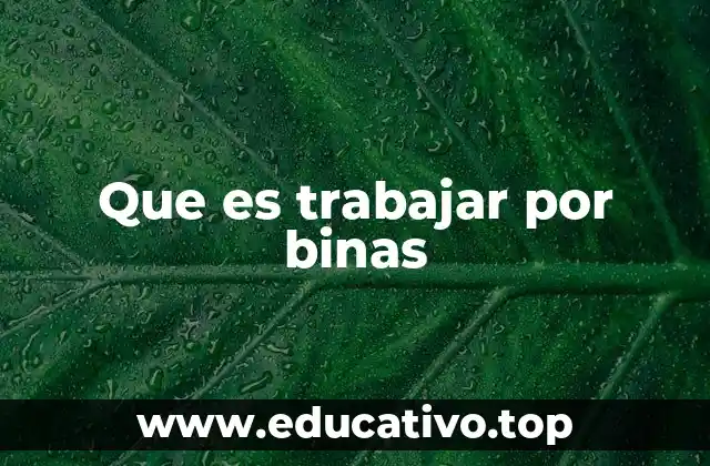 Que es trabajar por binas