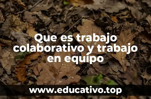 Que es trabajo colaborativo y trabajo en equipo