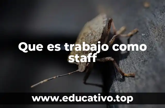 Que es trabajo como staff