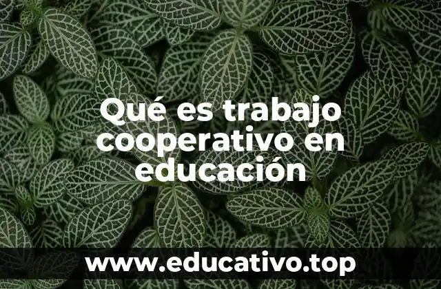 Qué es trabajo cooperativo en educación
