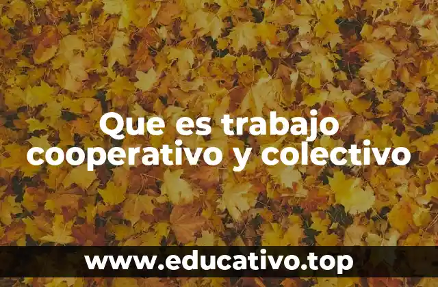 La importancia de la colaboración en el desarrollo humano