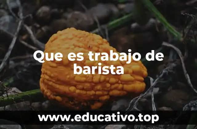 Que es trabajo de barista