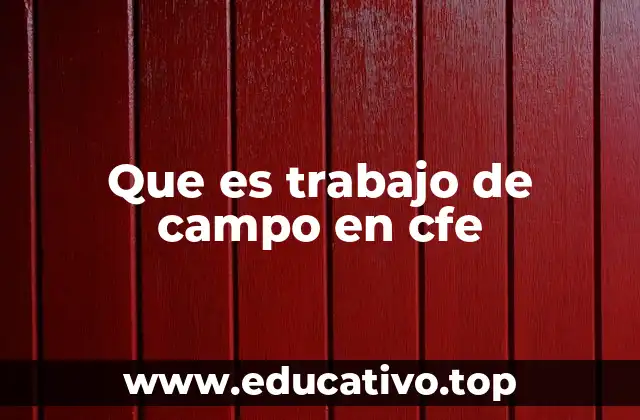 Que es trabajo de campo en cfe