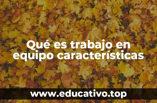 Qué es trabajo en equipo características