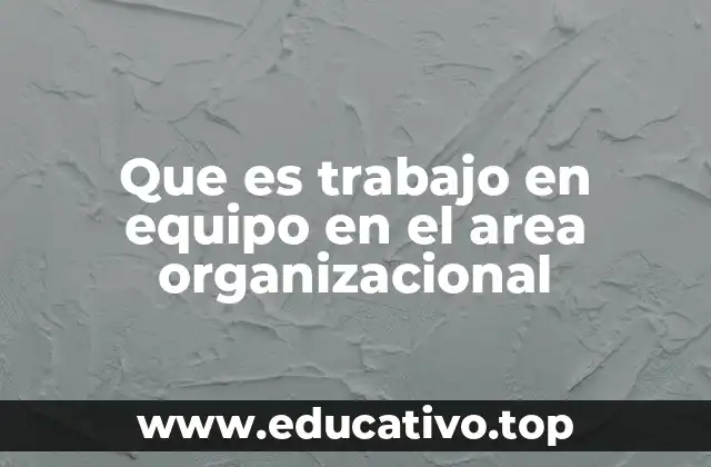 Que es trabajo en equipo en el area organizacional