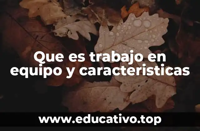 Que es trabajo en equipo y caracteristicas