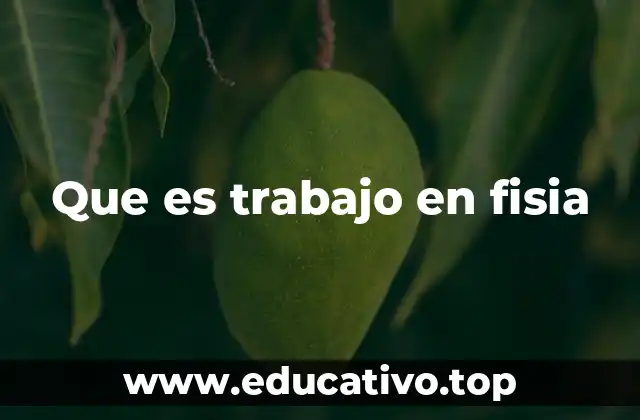 Que es trabajo en fisia