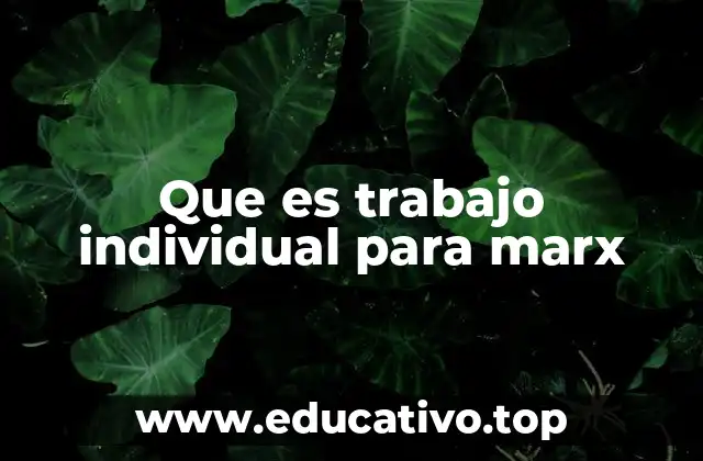Que es trabajo individual para marx