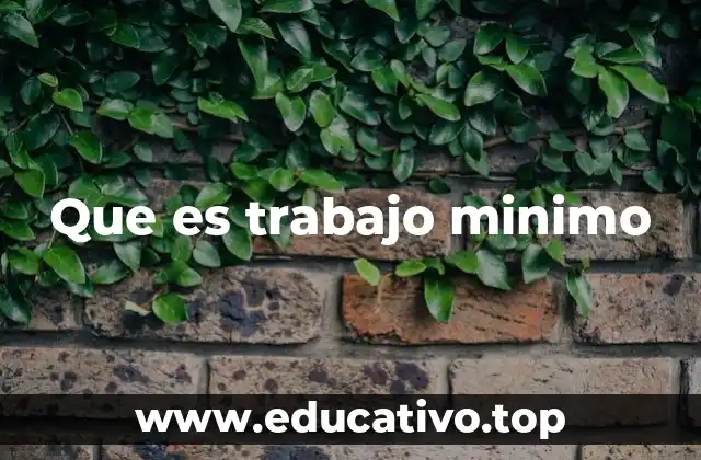 Que es trabajo minimo