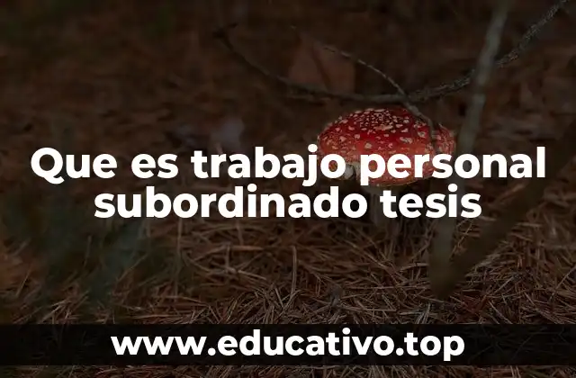 Que es trabajo personal subordinado tesis