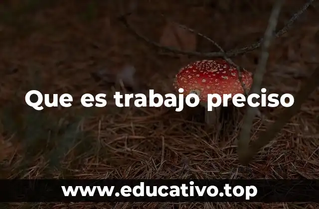 Que es trabajo preciso