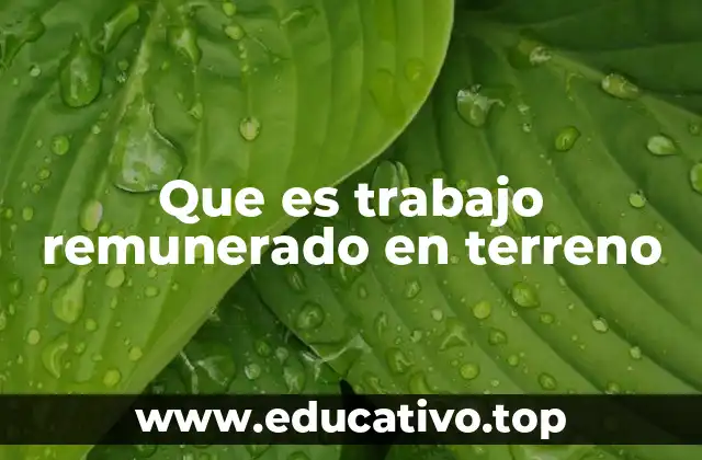 Que es trabajo remunerado en terreno