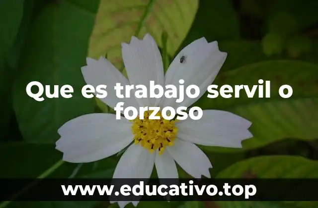 Que es trabajo servil o forzoso