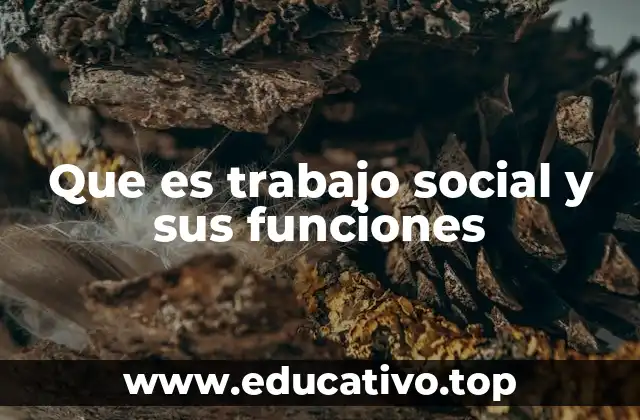 Que es trabajo social y sus funciones