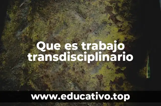 Que es trabajo transdisciplinario